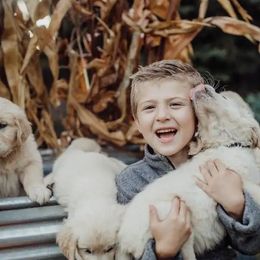 Golden Retrievers from Sunny Ridge Retrievers