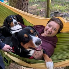 Entlebucher Mountain Dog Puppies from Feather Farm's Entles