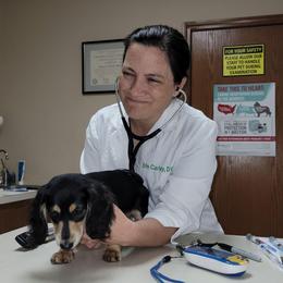 Nessie - Black and cream female Dachshund puppy in Terlton, Oklahoma from CLARK'S BREEDING PROGRAM