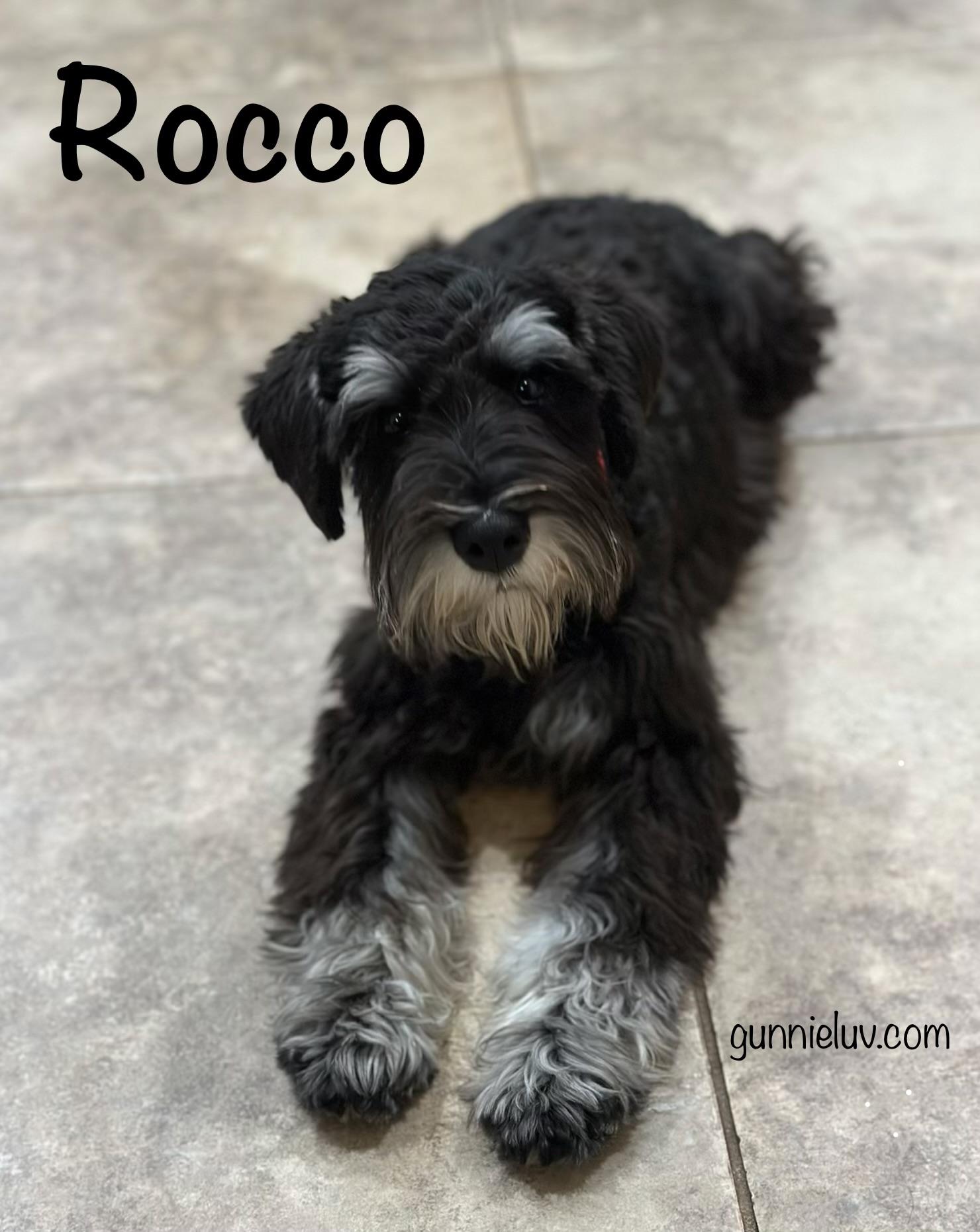 Rocco