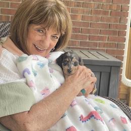 Dachshund Puppies from Monahan Dachshunds