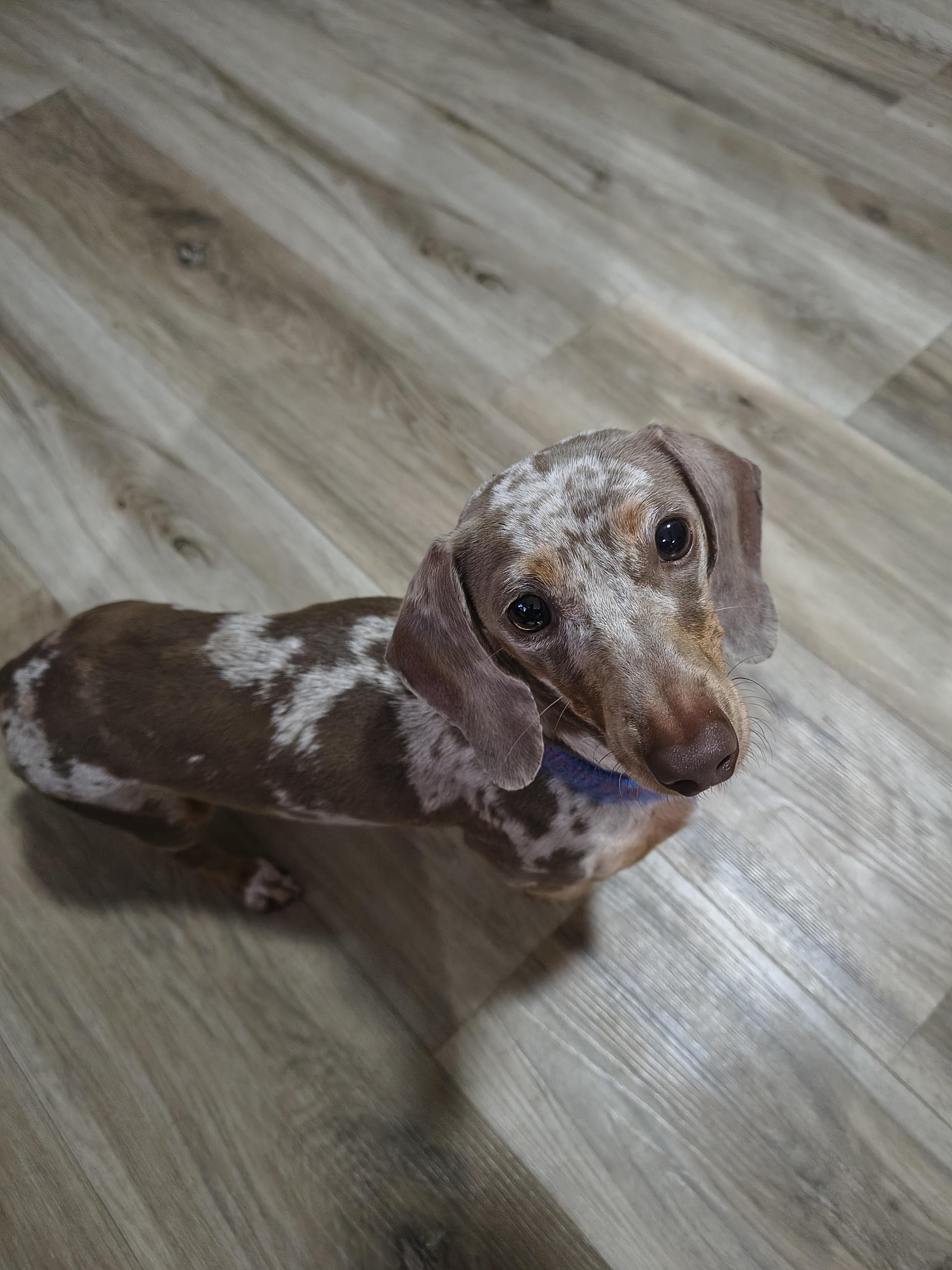 Zoey