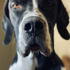 Pointers from Mythik Pointers