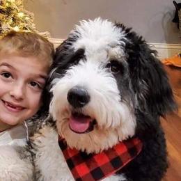 Bernedoodles from Oswegatchie Doodles