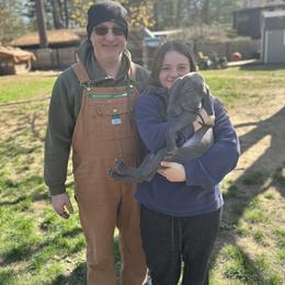 Weimaraner Puppies from Meadow Ridge Weims and Danes