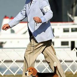 Beagles from Barrister Beagles