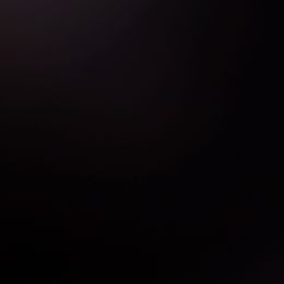 Female -Semi Trained -Solid Top Pup - Brindle female Belgian Malinois puppy in Dallas, Texas from OreVis Malinois