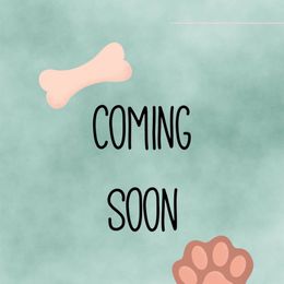 Boy 1 - Red male Cavapoo puppy in Melissa, Texas from Southern Love Cavapoos & Maltipoos