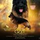 Ozzy