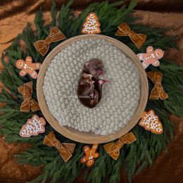 Peanut Butter - RTM - Red tri male Miniature Australian Shepherd puppy in Oklahoma City, Oklahoma from Outland Toy & Mini Aussies