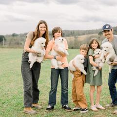 Berger Blanc Suisse Puppies from Edelweiss Berger Blanc Suisse