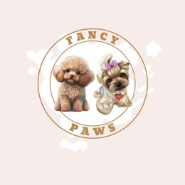 Goldendoodles, Poodles, and Yorkshire Terriers from Fancy Paws Inc