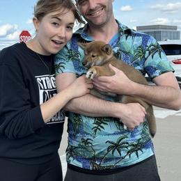 Yasashii - Red female Shiba Inu puppy in Derby, Kansas from Heart’s Desire Shiba Inus