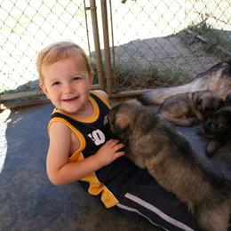 Shiloh Shepherd Puppies from Solace Shilohs