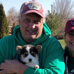 Pembroke Welsh Corgi Puppies from Desert Sage Pembroke Corgis