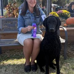 Curly-Coated Retriever All Grown Up from Elflock Curlies