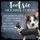 Tootsie