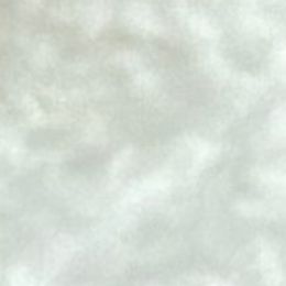 Tiny Tator Tot - Parti male Miniature Schnauzer puppy in Howe, Texas from Poppy’s Mini Schnauzers