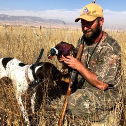 German Shorthaired Pointers from Durfee GSP's
