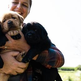 Labrador Retrievers and Poodles from Prodigy Therapy Dogs