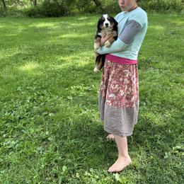 Ruger - Black rust and white male Bernese Mountain Dog puppy in Strasburg, Ohio from Lois Allison
