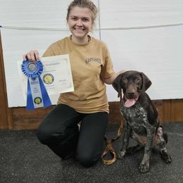 Where the Wild Things Roam aka Moose - Liver roan male German Shorthaired Pointer puppy in La Porte, Indiana from T Double H German Shorthaired Pointers