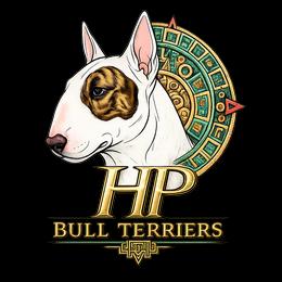 F - White female Bull Terrier puppy in Cincinnati, Ohio from HP BULL’S