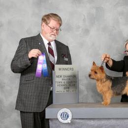 Norfolk Terrier and Norwich Terrier All Grown Up from Infinity Kennels