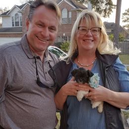 Shih Tzu Puppies from S&K shih tzu’s