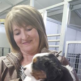 Miniature American Shepherd and Miniature Australian Shepherd Puppies from 74 Ranch Minis