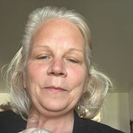 Goldendoodle Puppies from Blue Valley Goldendoodles