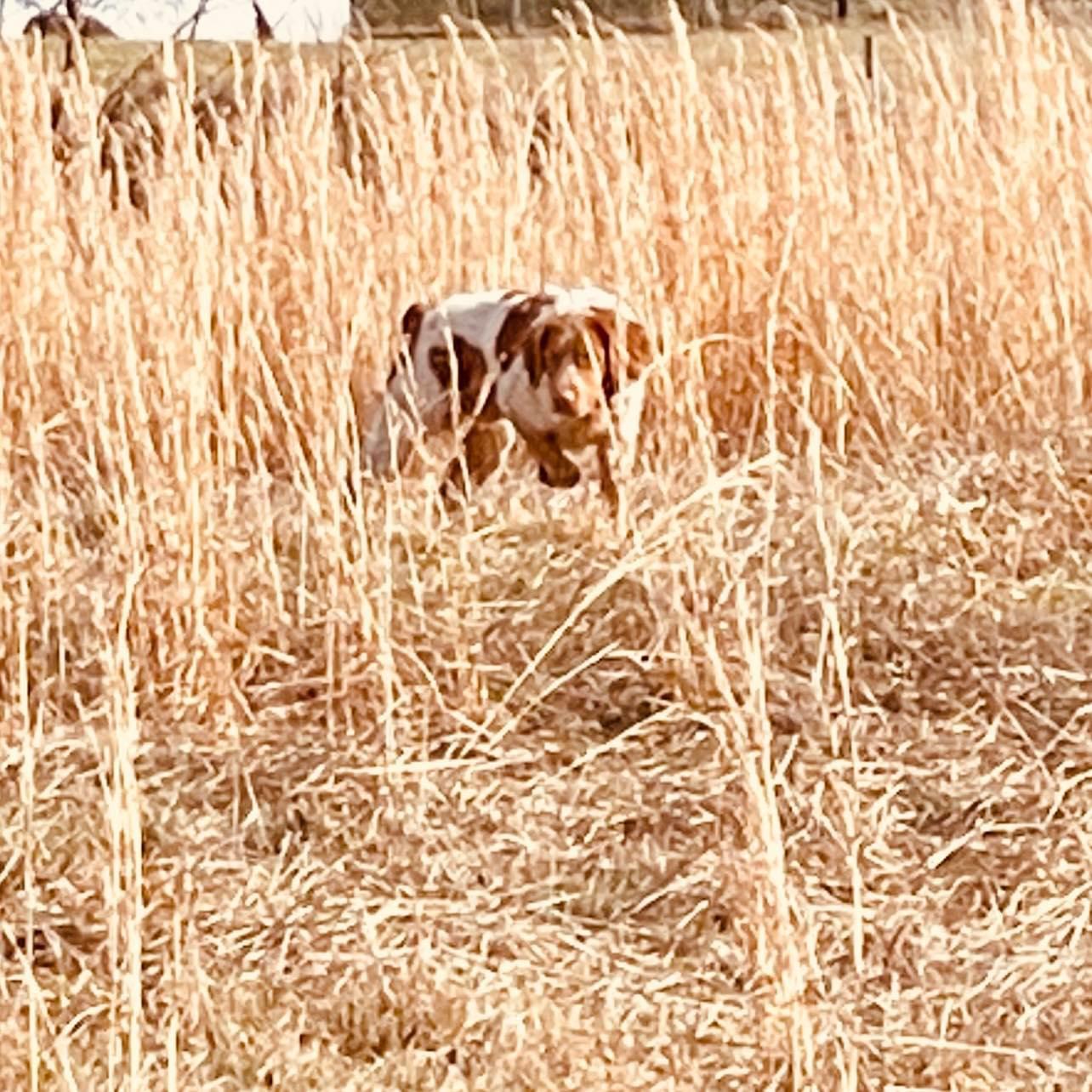 Charlie