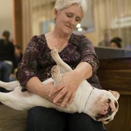 French Bulldogs from Chitawee French Bulldogs