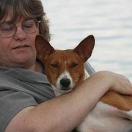 Basenjis from Sherwood Basenjis