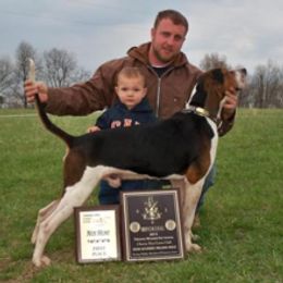 Australian Shepherds and Treeing Walker Coonhounds from Bluegrass BET Aussie’s