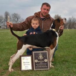 Australian Shepherds and Treeing Walker Coonhounds from Bluegrass BET Aussie’s
