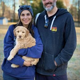 Lucky Country Juno - Caramel cream female Australian Labradoodle puppy in Wake Forest, North Carolina from Lucky Country Labradoodles