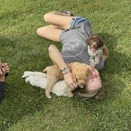 Lagotto Romagnolo Puppies from Lagotti di Mesilla