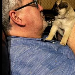 Pug Puppies from Pickwick Pugs