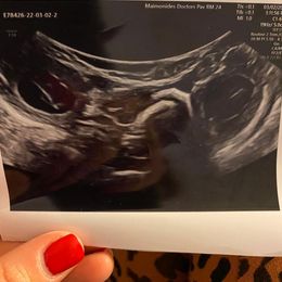 Goldendoodle Puppies from Doodles of NY