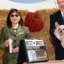 Chinese Cresteds and Great Danes from North Park Great Danes and Making Waves Chinese Cresteds
