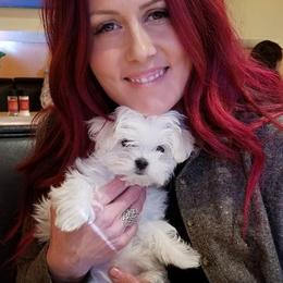 Biewer Terriers and Maltese from JoDi's Maltese and Biewer Terriers