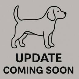 Wave - Brown and white male Beagle puppy in Rose Bud, Arkansas from Rajun Cajun Kennels