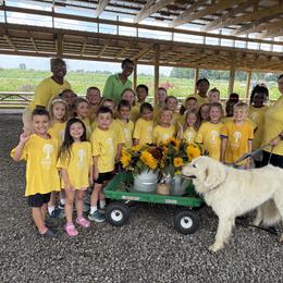 Maremma Sheepdog All Grown Up from Old Orchard Maremmas