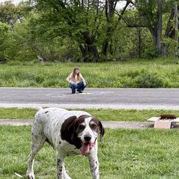 German Shorthaired Pointers from Hurricane Creek Gun Dogs