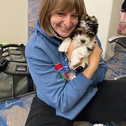 Biewer Terrier and Poodle Puppies from Eaglehill-South Miniature Poodles/Classic Biewer Terriers
