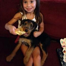 Airedale Terrier Puppies from JOVAL Airedales