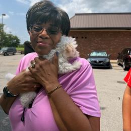 Mercedes - Parti female Maltipoo puppy in Lawrenceburg, Tennessee from LUV Poodles and Maltipoos