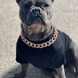 Jersey - French Bulldog