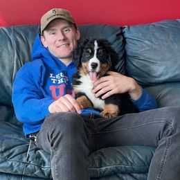 Bernese Mountain Dog Puppies from Lonesome Pine Farm